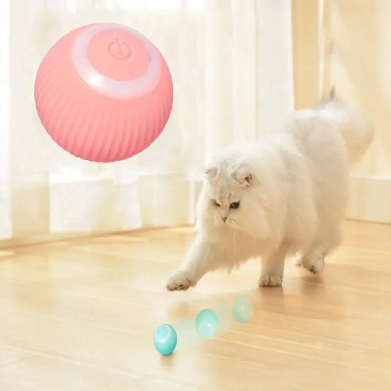 Interactive Ball beckett