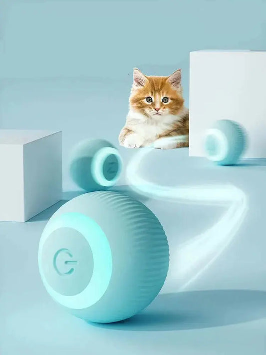 Interactive Ball beckett